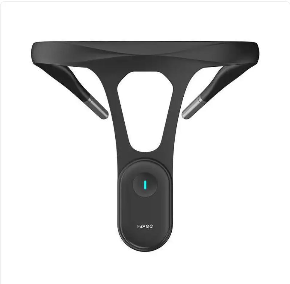 PosturePulse Pro