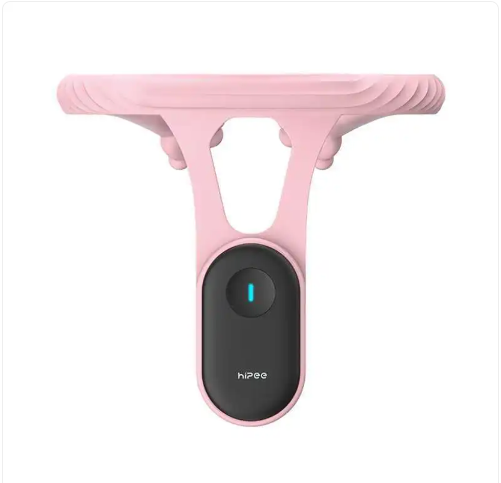 PosturePulse Pro