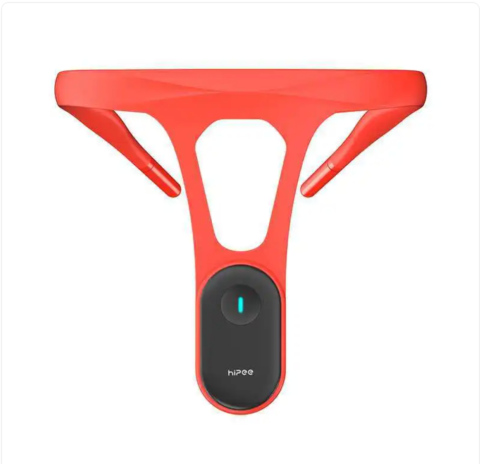 PosturePulse Pro